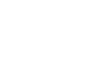 Logo seul blanc sans fond